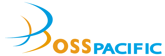 logo-boss-mini.png